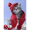 Michis Navidad 20