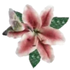 Sparkling Flowers 1 Movi 18