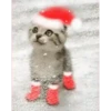 Michis Navidad 21