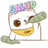 ️Tierno gatito   MOV 16