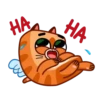 Cupid Kitty  ️Nazaralnazrii ️ 15
