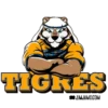 ️ TIGRES UANL.MOV 23