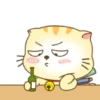 ️ Beautiful yellow Cat   MOV 23