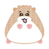 Hamster cute 16