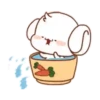 The bunny's daily life Mov 18