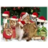 Michis Navidad 22