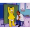 THE SIMPSONS 12