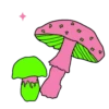 Cogumelos 16