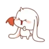The bunny's daily life Mov 20