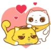 ️Tierno gatito   MOV 17