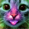 GAT SssSSs mov 19