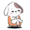 Cute puppy 5  .MOV 17