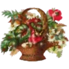 Sparkling Flowers 1 Movi 22