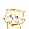 ️ Beautiful yellow Cat   MOV 24