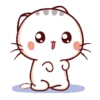 Bambu Kitty 17