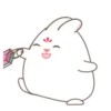 ️ Princesa conejo  MOV 23