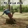 Son como niños.Mov 18
