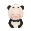 panda  2 mov 17