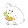 ️ Princesa conejo  MOV 25