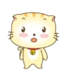 ️ Beautiful yellow Cat   MOV 25