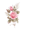 Sparkling Flowers 1 Movi 23