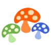 Cogumelos 23