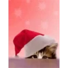 Michis Navidad 27
