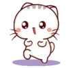 Bambu Kitty 20