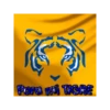 ️ TIGRES UANL.MOV 28