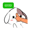 Cute puppy 5  .MOV 19