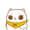 ️Tierno gatito   MOV 18
