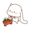 The bunny's daily life Mov 24