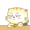 ️ Beautiful yellow Cat   MOV 26