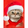 Michis Navidad 28
