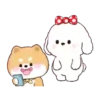 tiernos 24