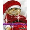 Michis Navidad 29