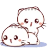 Bambu Kitty 21