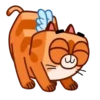 Cupid Kitty  ️Nazaralnazrii ️ 20