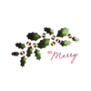 MV HOLIDAYS 6