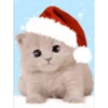 Michis Navidad 30