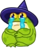 Frog Witch  ️Nazaralnazrii ️ 13