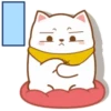 ️Tierno gatito   MOV 21