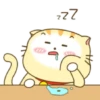 ️ Beautiful yellow Cat   MOV 28
