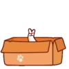 Bambu Kitty 23