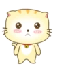 ️ Beautiful yellow Cat   MOV 29