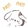 Cute puppy 5  .MOV 24