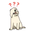Animated Animals I. mov 30