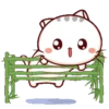 Bambu Kitty 24