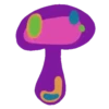 Cogumelos 29