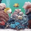 Animais marinhos 28